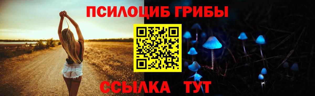 Галлюциногенные грибы Cubensis Альметьевск